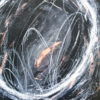 Frenesia n°2